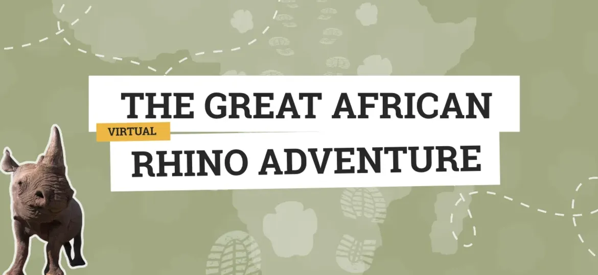 The Great African Rhino Adventure